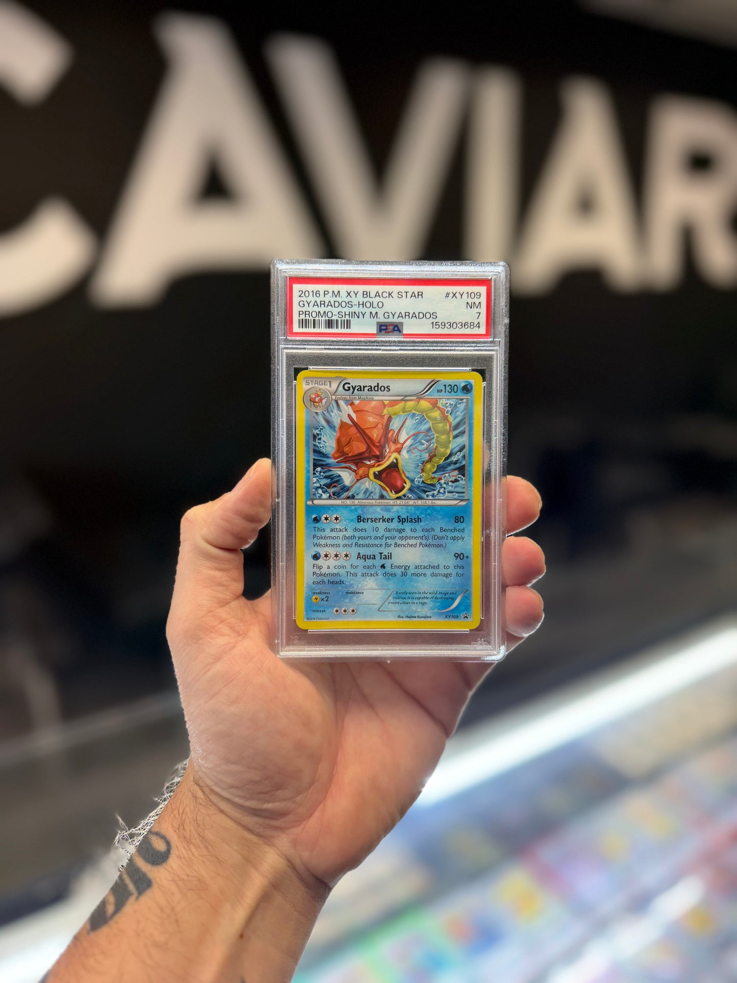 2016 Pokemon XY Black Star Promo Gyarados #XY109 PSA 7