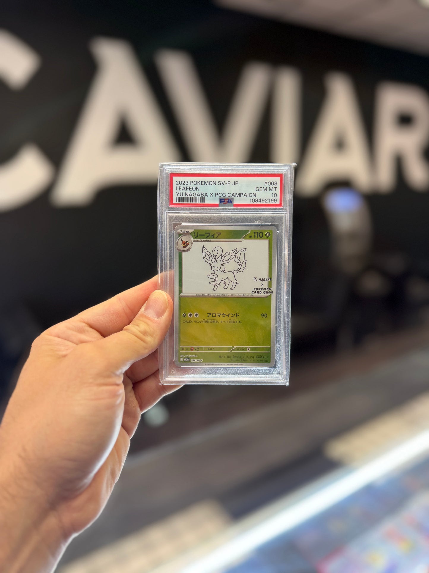 2023 Pokemon Japanese                    YU NAGABA X PCG Campaign PSA 10 (All 10 Cards)
