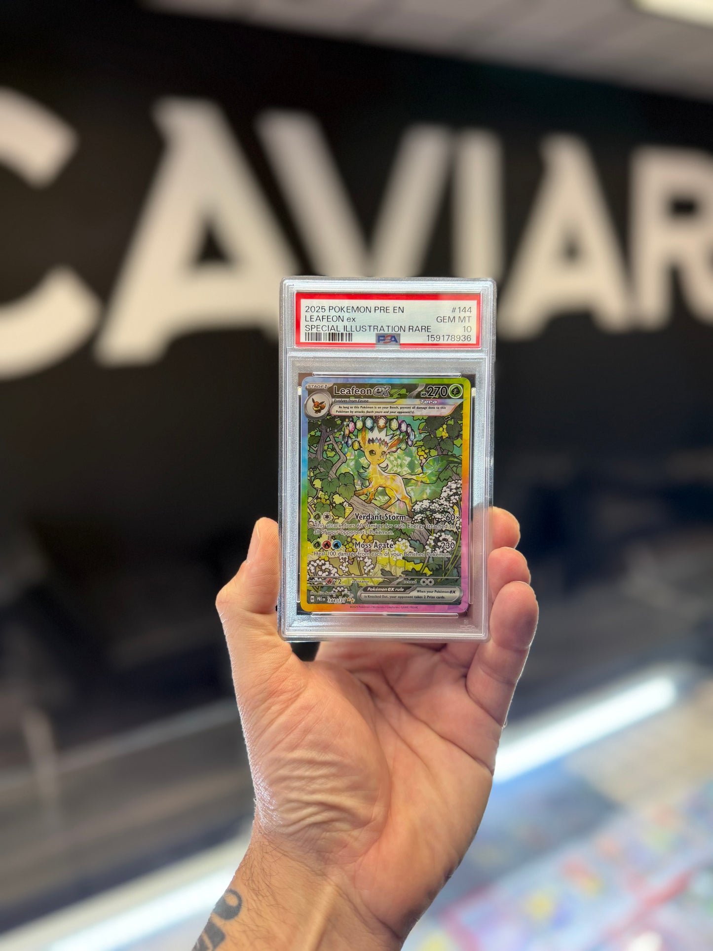 2025 Pokemon Scarlet and Violet Prismatic Evolutions SIR Leafeon Ex #144 PSA 10