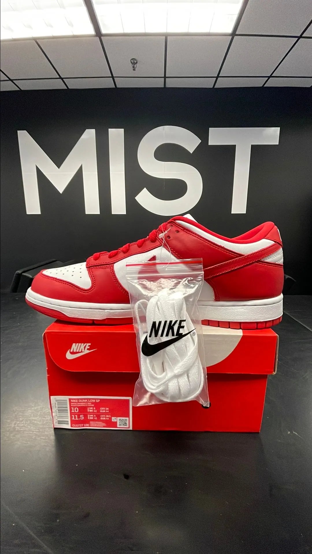 Nike Dunk Low SP - St. John's | Size 10M