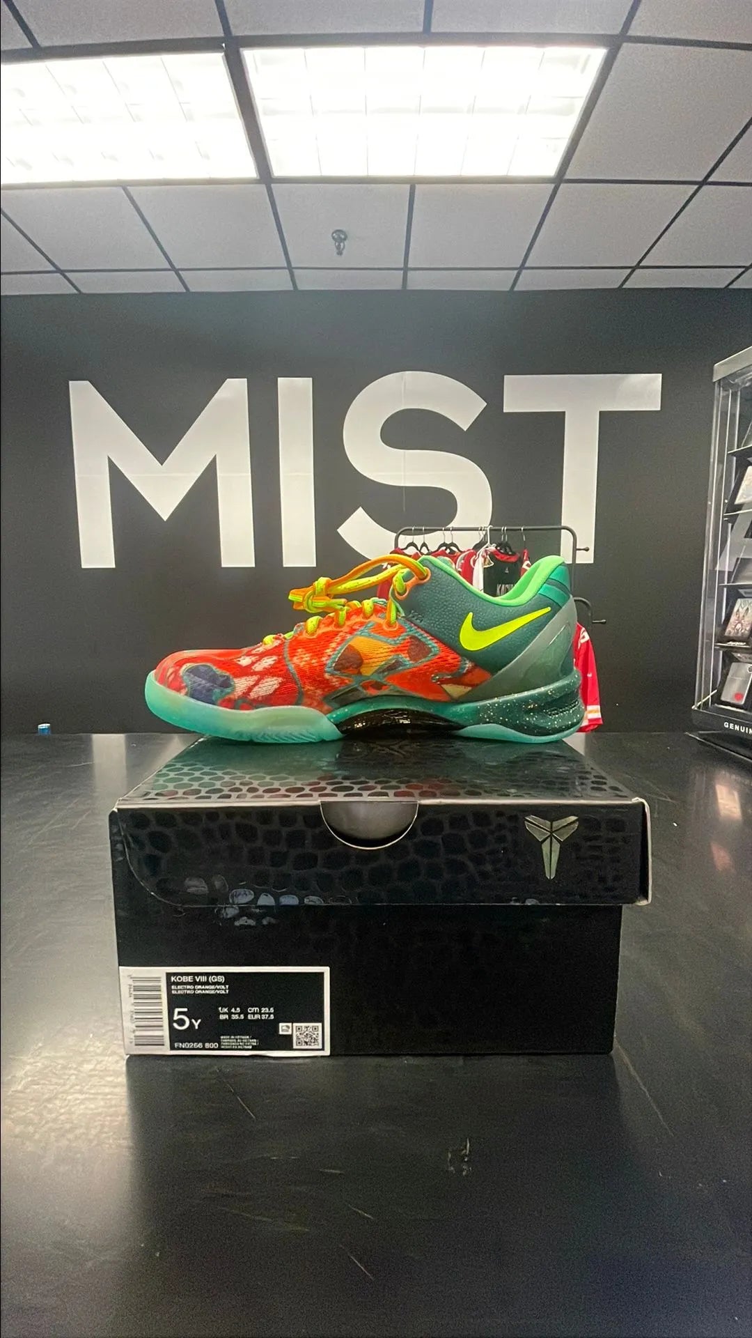 Kobe 8 Protro - What The (2025) (GS)