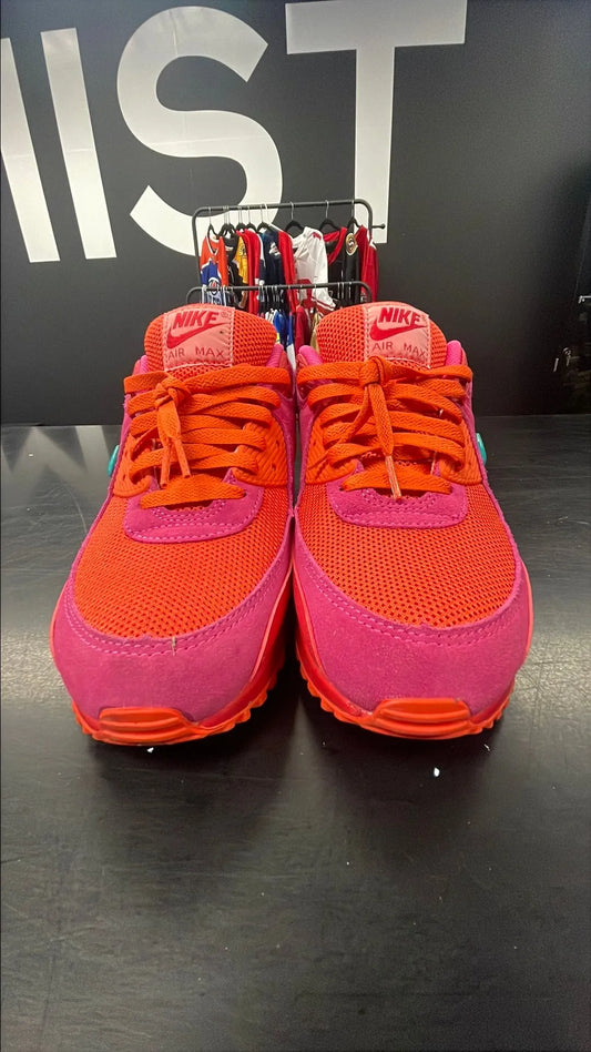 Air Max 90 - Alchemy Pink | Sz 9.5M